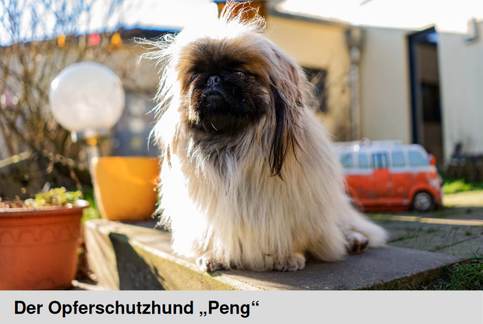 Hund Peng