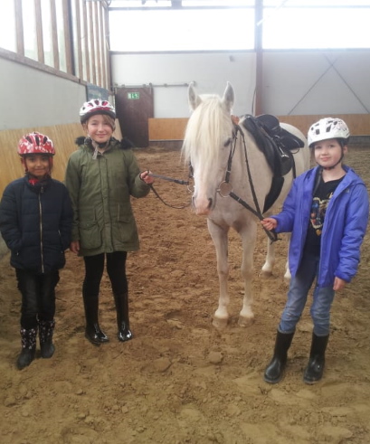 KL Reiten Judy