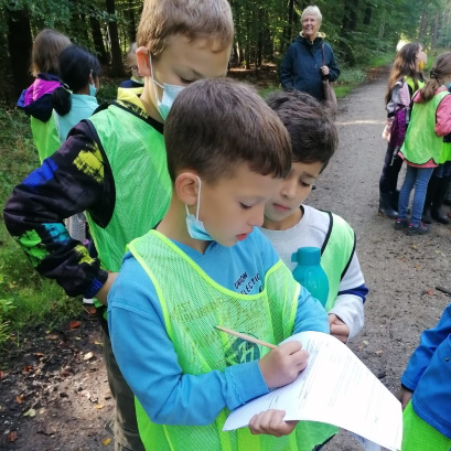 Klassenfahrt Waldrallye1