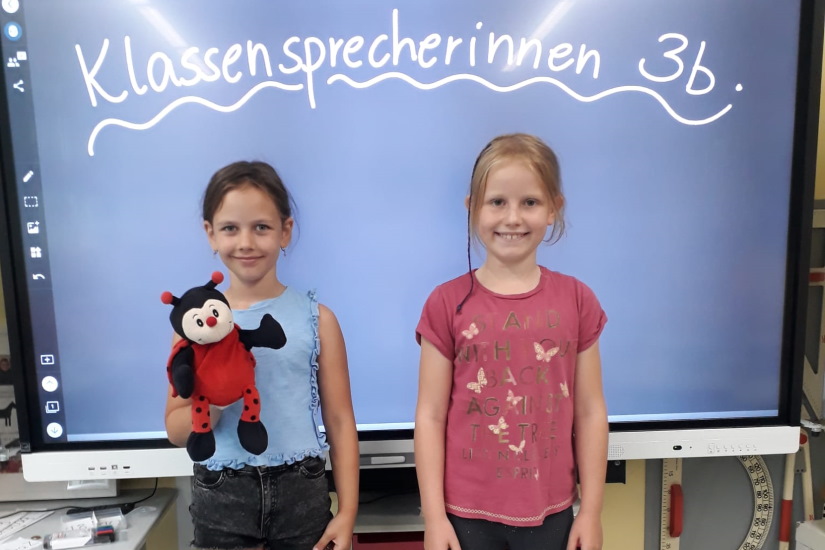 Klassensprecher Br 3b