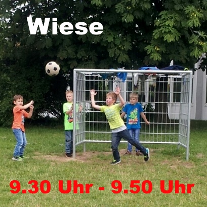 Wiese gr