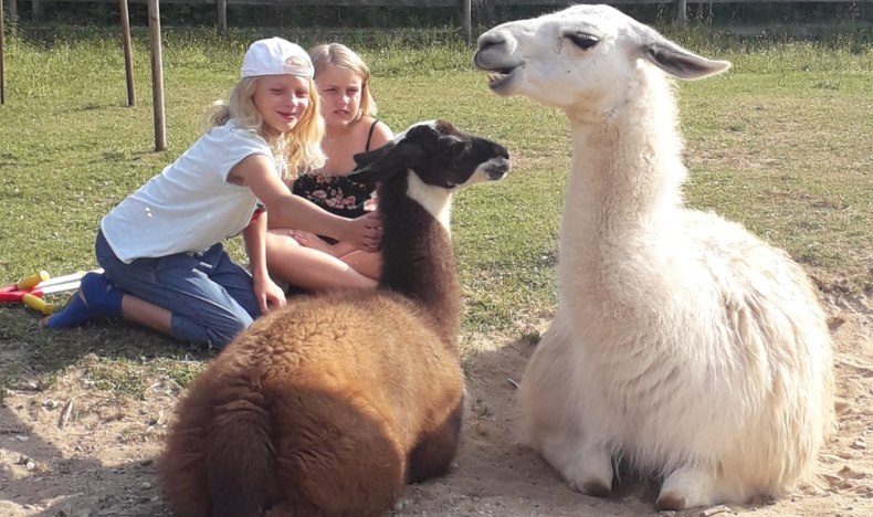 fahrt 4.7. lamas