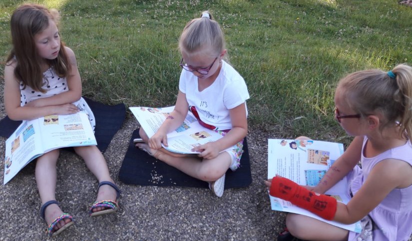 wiese lesen
