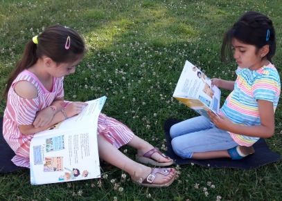 wiese lesen2