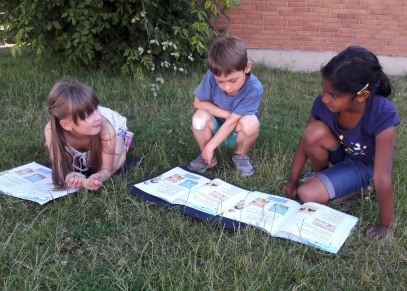 wiese lesen3
