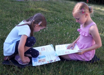 wiese lesen4