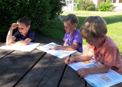 wiese lesen5