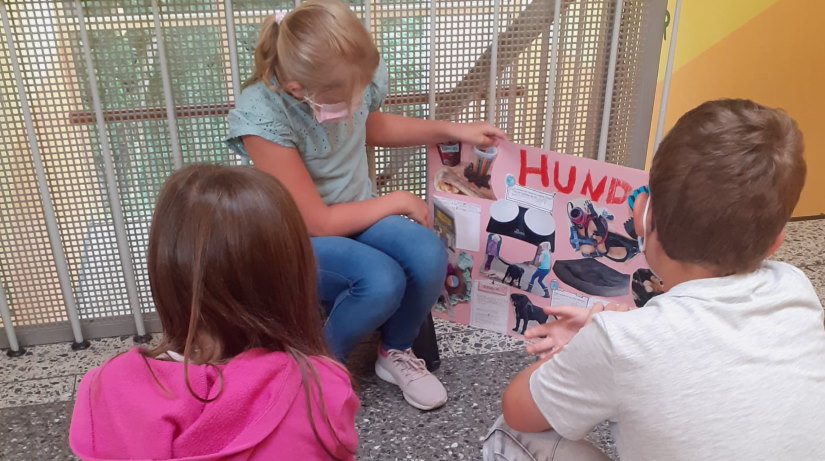 Tiere Hunde